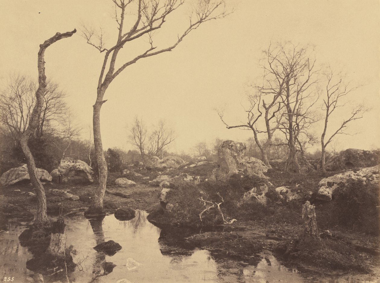 Belle Croix - Eugène Cuvelier