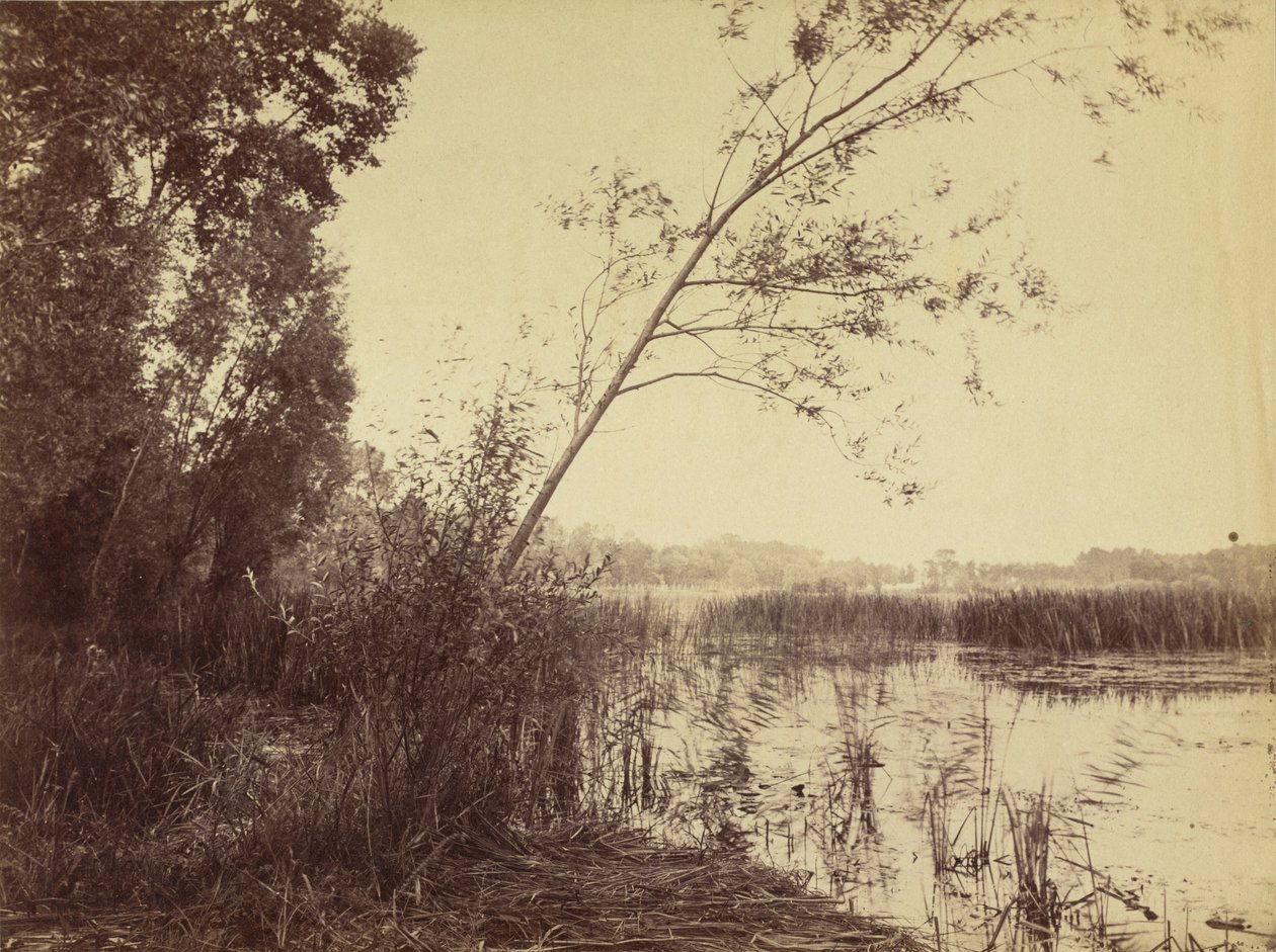 Marais de Fampoux, début des années 1860 (photo) - Eugène Cuvelier