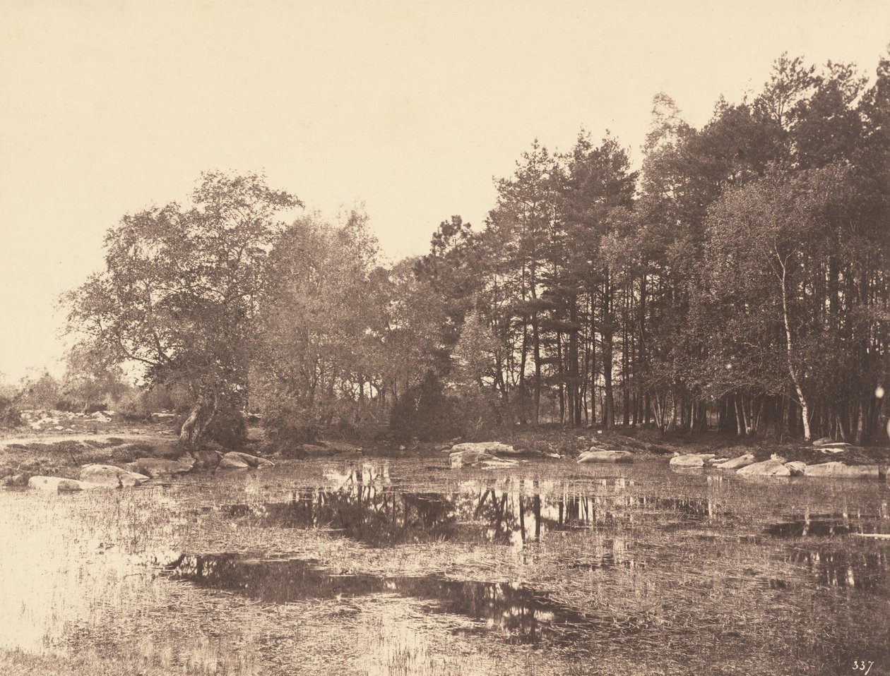 Marais à Piat (Plateau de Belle-Croix) - Eugène Cuvelier
