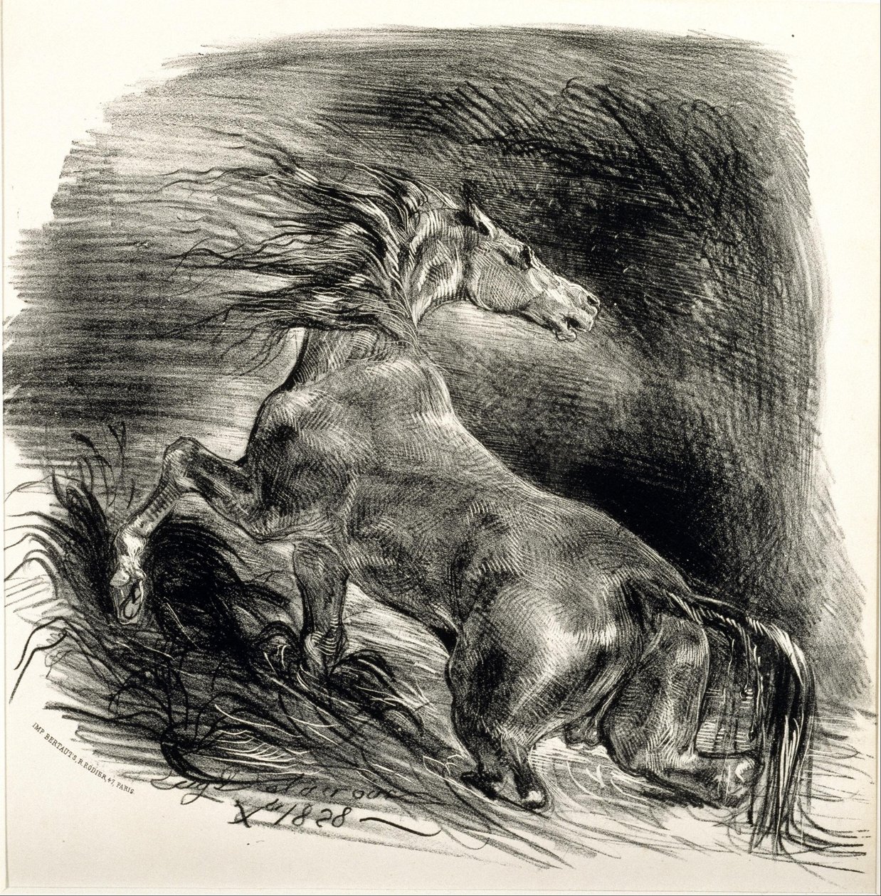 Cheval sauvage - Eugène Delacroix