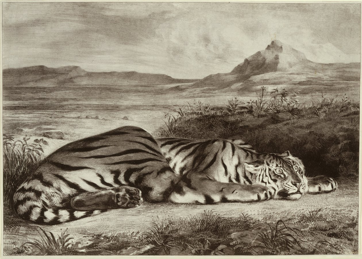 Tigre royal - Eugène Delacroix