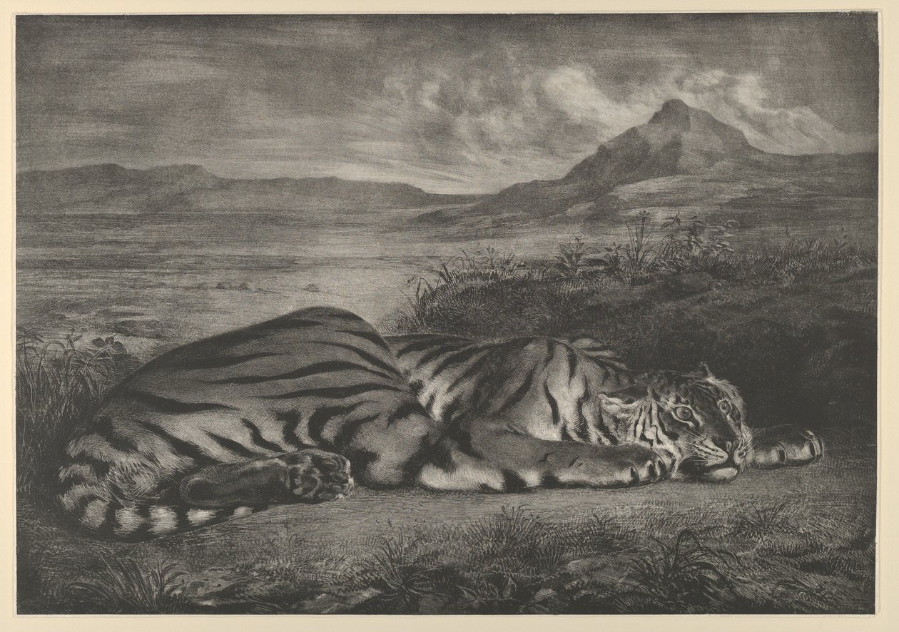 Tigre royal, 1829 - Eugène Delacroix