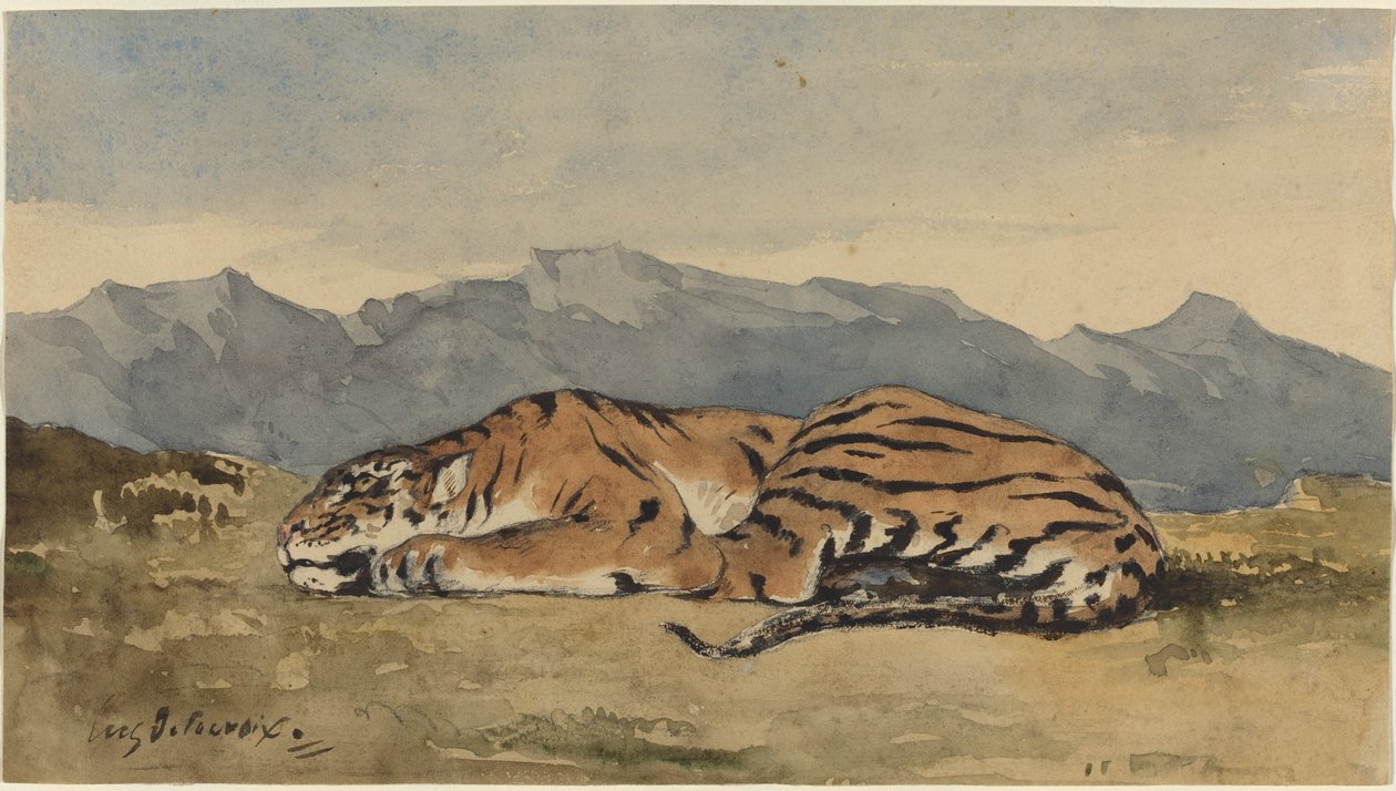 Tigre - Eugène Delacroix