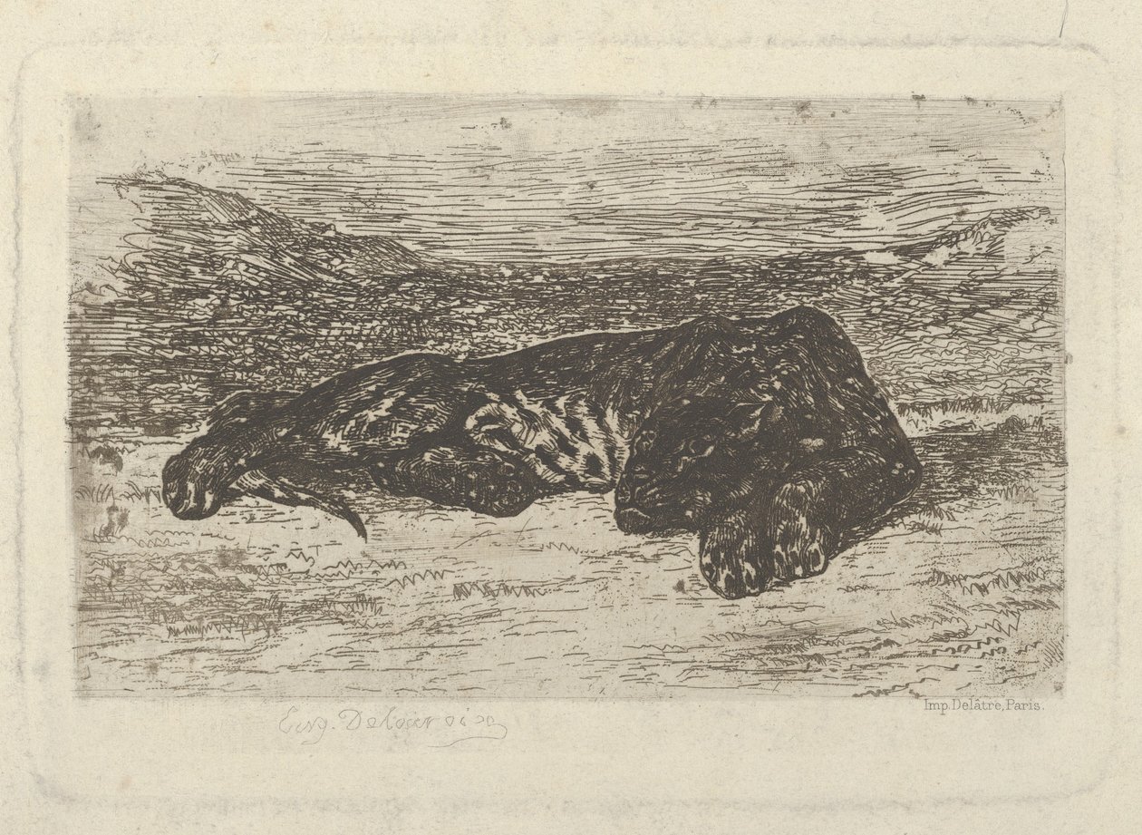 Tigre couché dans le désert, 1846 - Eugène Delacroix