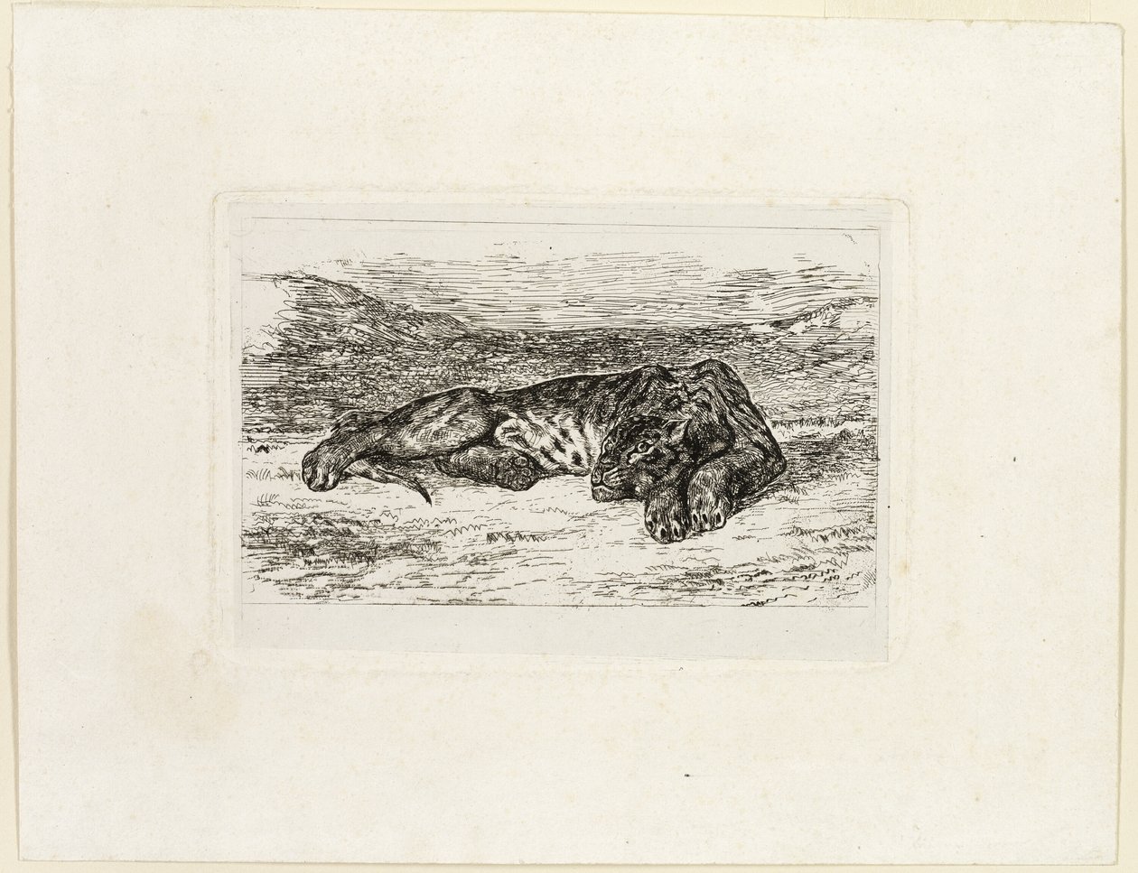Tigre se Reposant dans le Désert - Eugène Delacroix