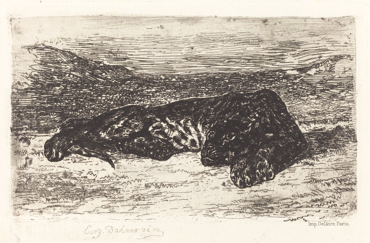 Tigre dormant dans le désert, vers 1830 - Eugène Delacroix