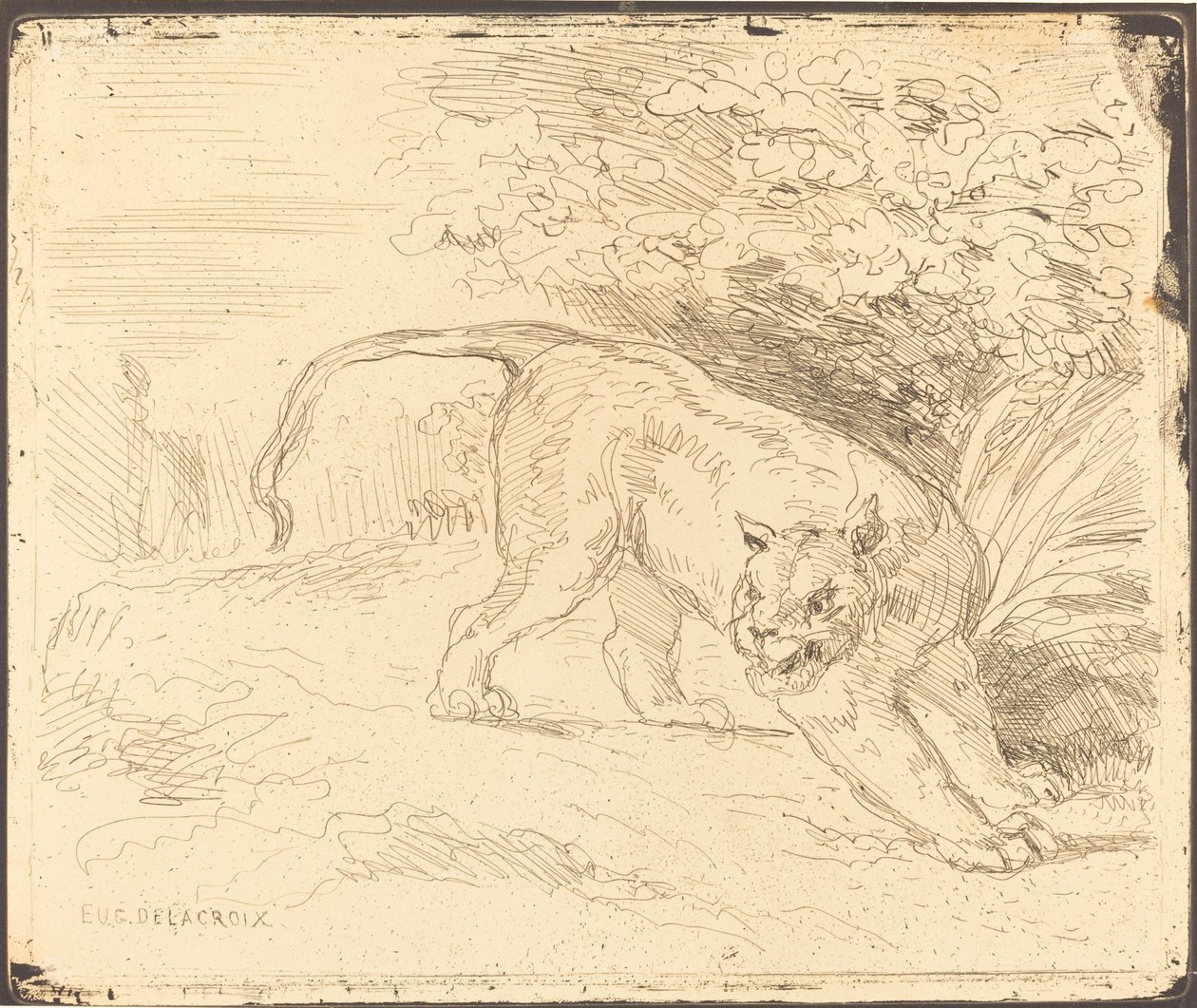 Tigre en arrêt - Eugène Delacroix