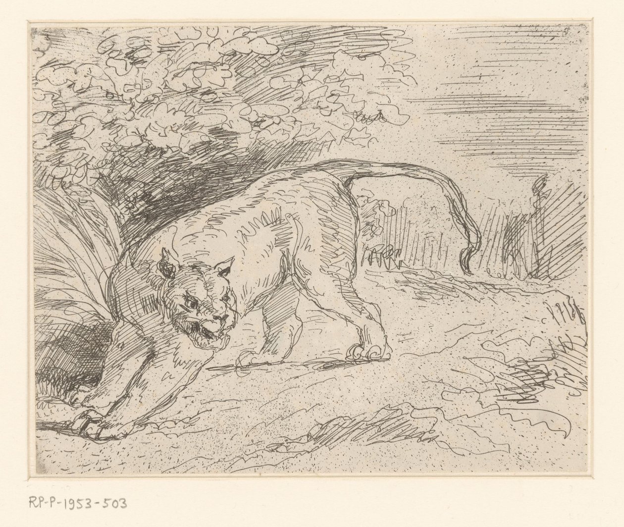 Tigre - Eugène Delacroix