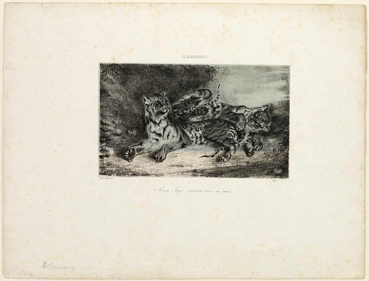 Jeune Tigre Jouant avec sa Mère - Eugène Delacroix