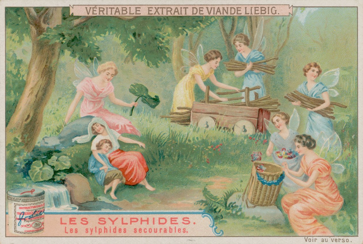 Les sylphes serviables - European School