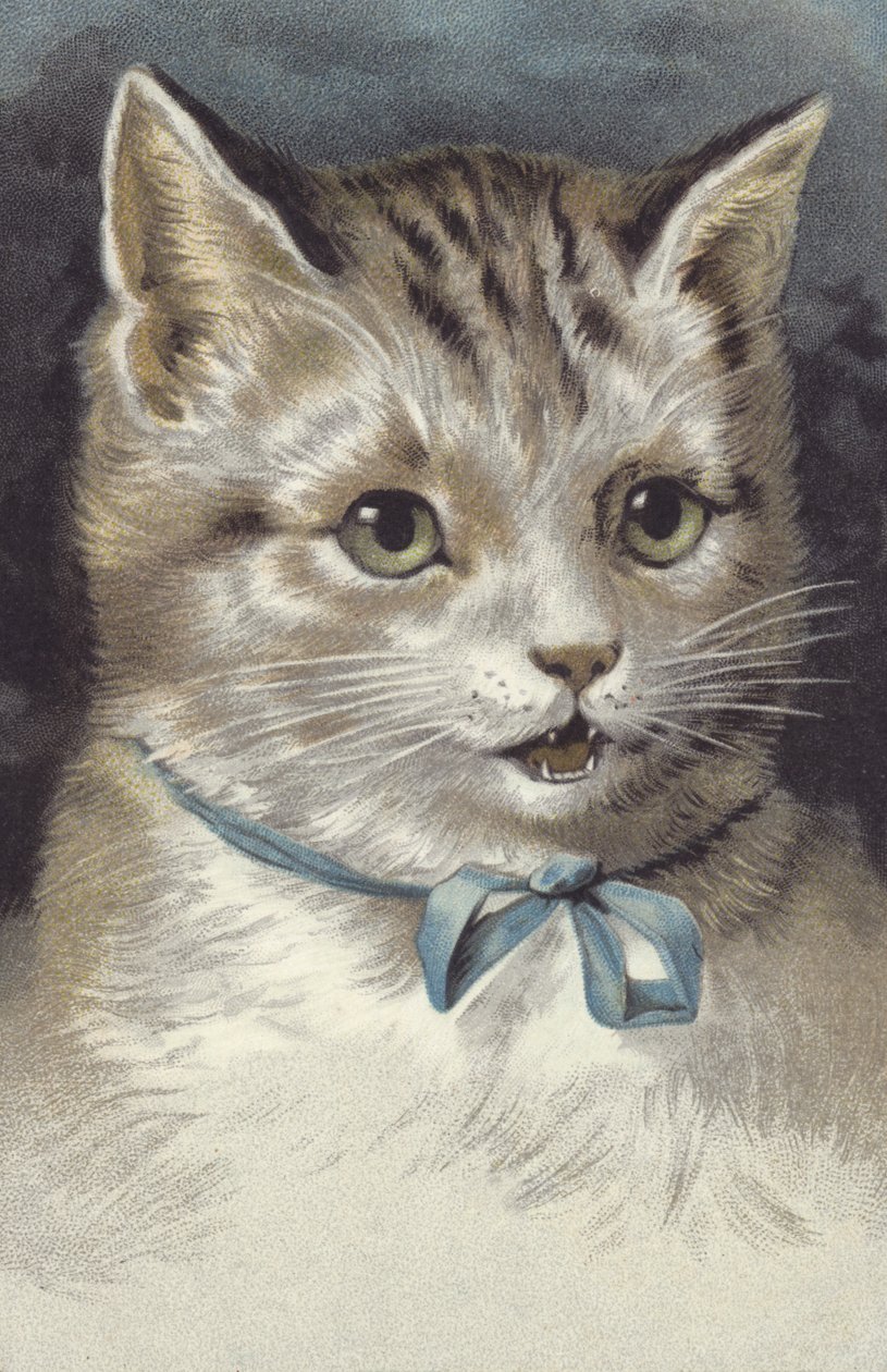 Chat à col bleu (chromolitho) - European School