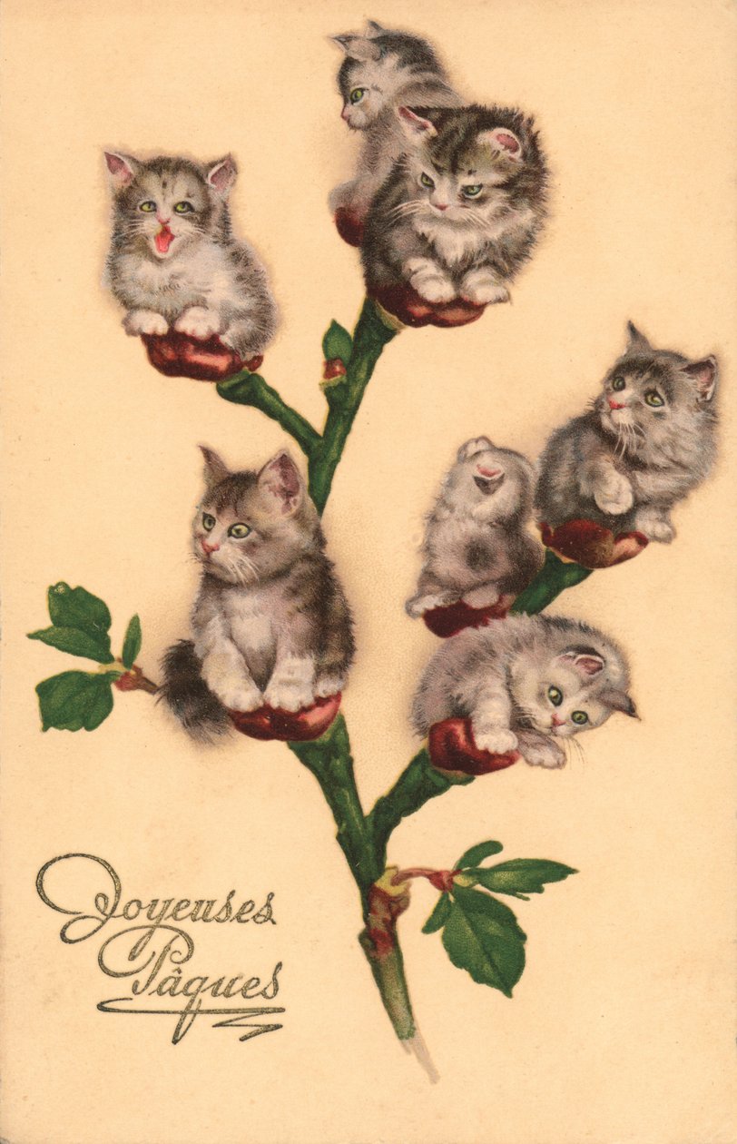 Chats comiques, en chatons (litho couleur) - European School