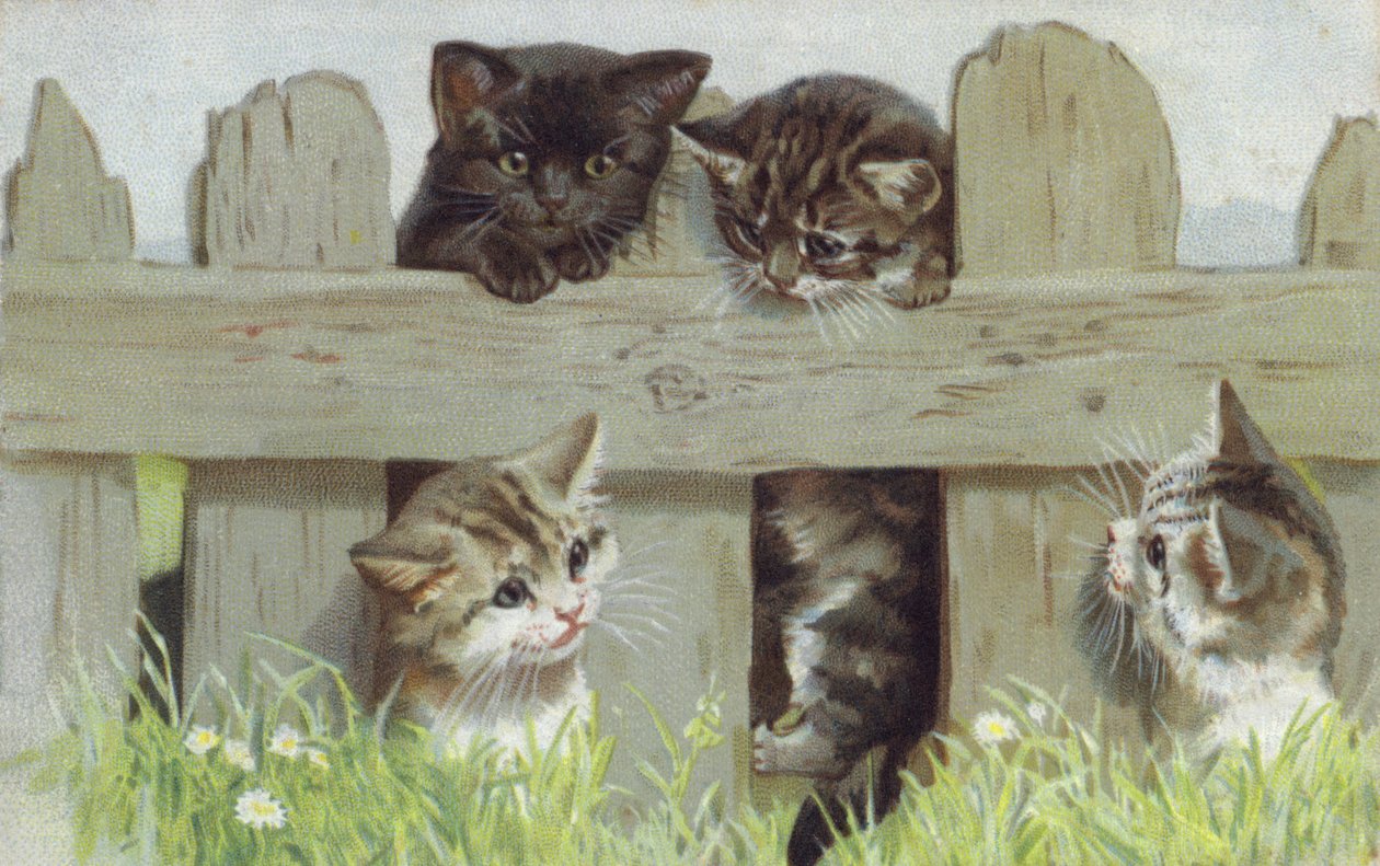 Quatre chatons près d