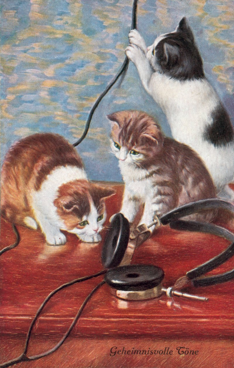 Carte postale humoristique sur les chats (lithographie couleur) - European School