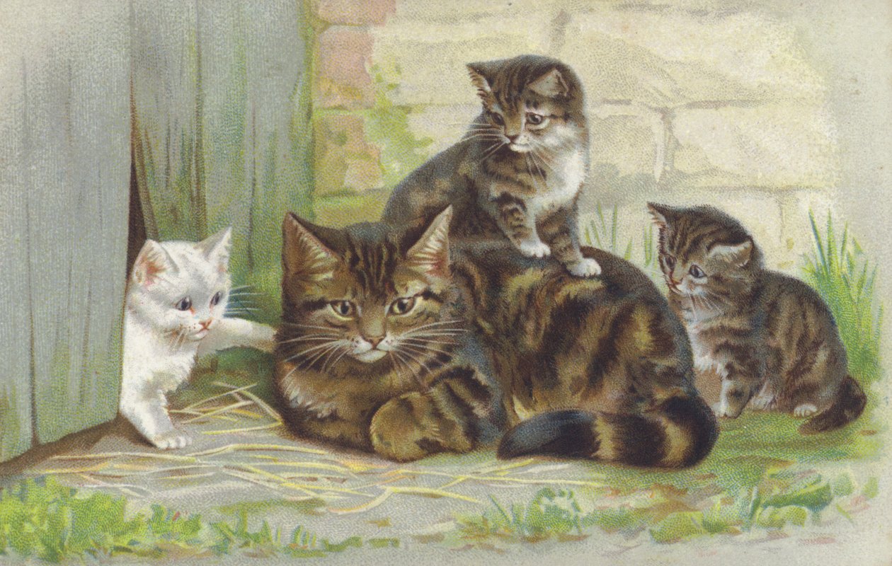 Chat tabby avec trois chatons (chromolitho) - European School
