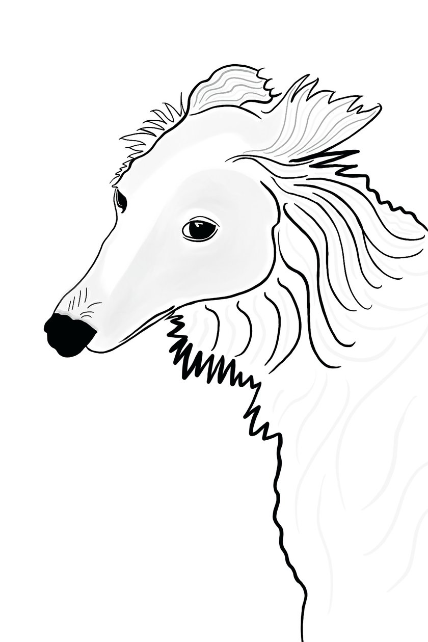 Dessin au trait du Windhound de Silken (art numérique) - Evan Sklar