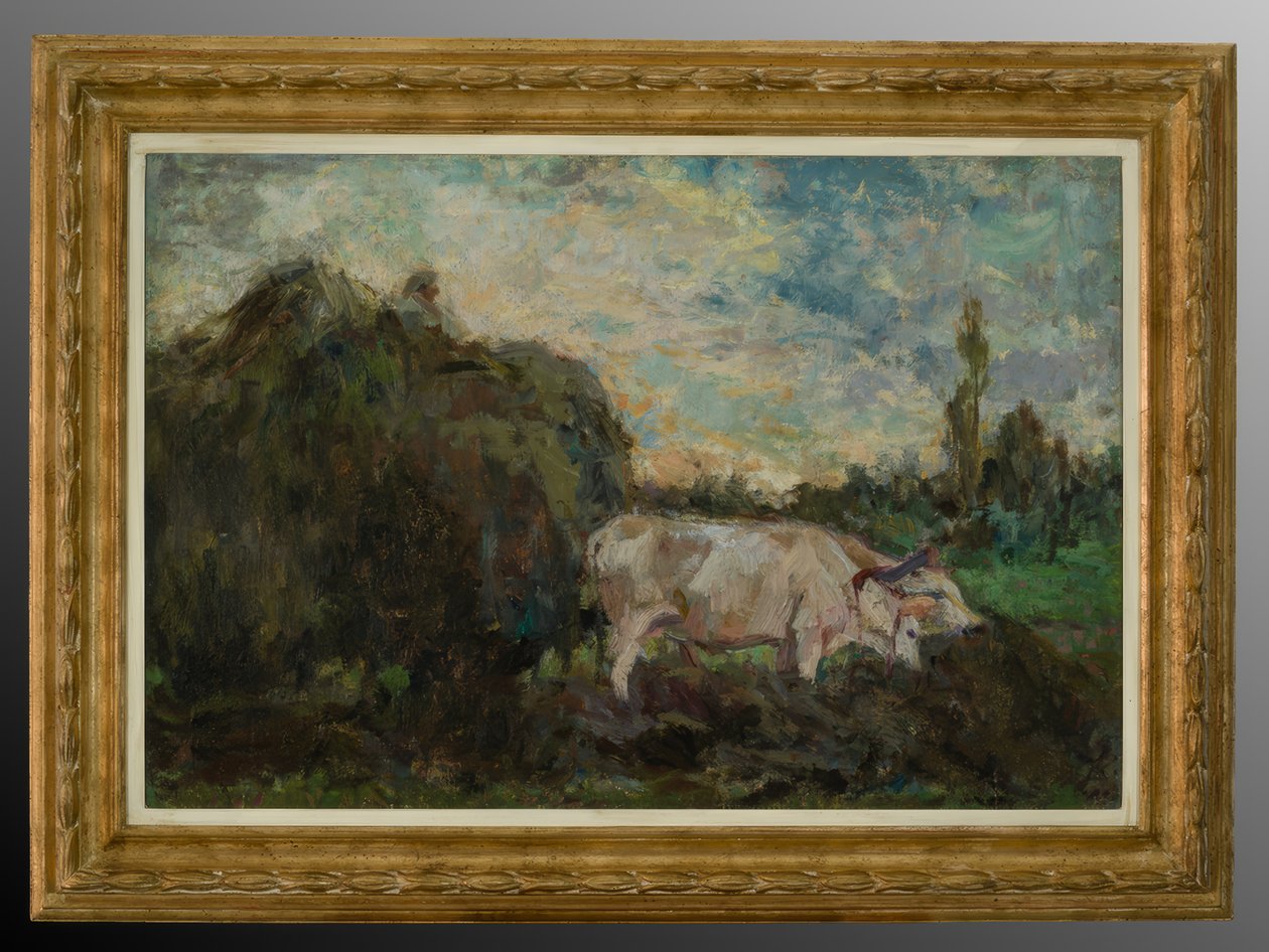 Bœufs - Evaristo Cappelli