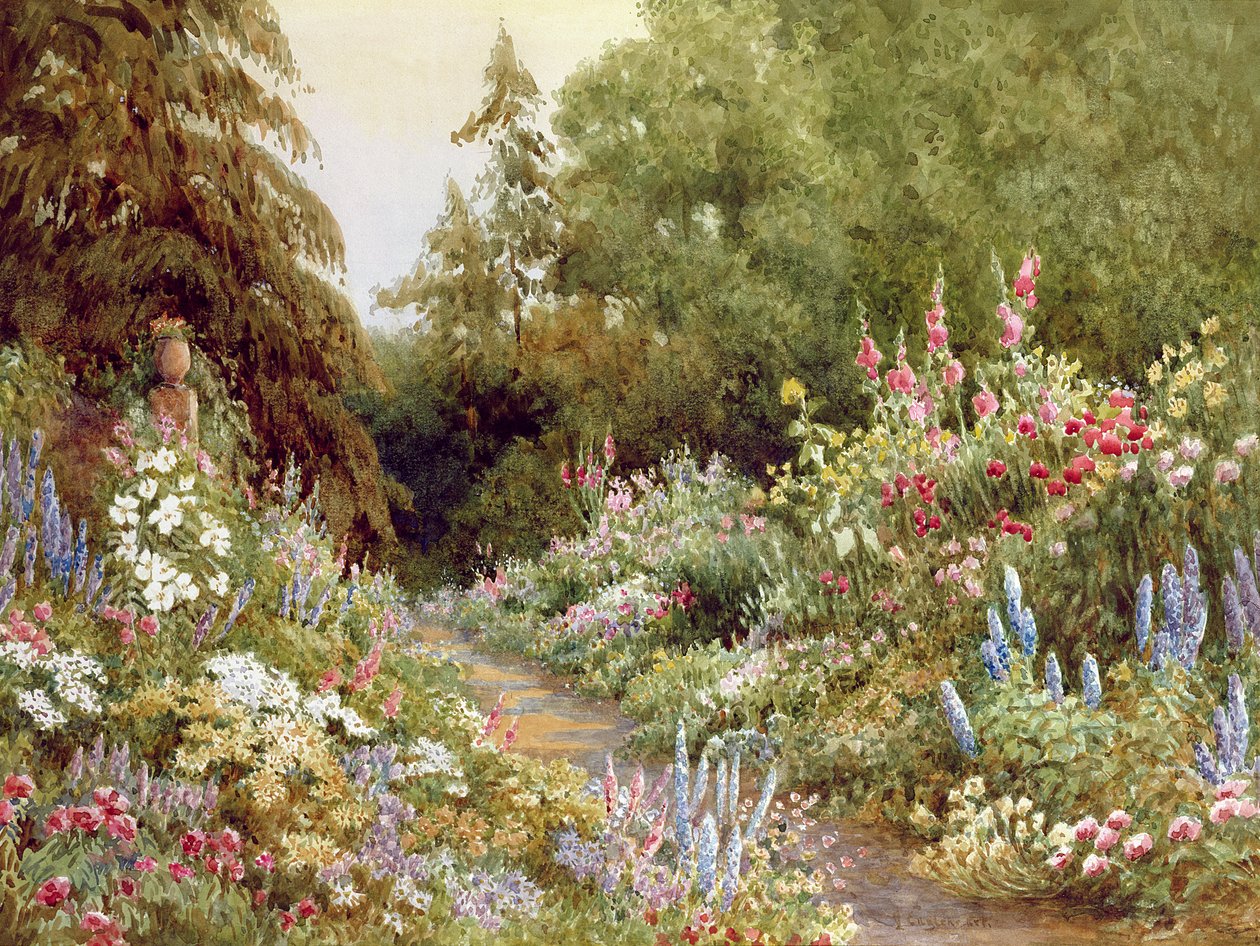 Bordure herbacée - Evelyn L. Engleheart