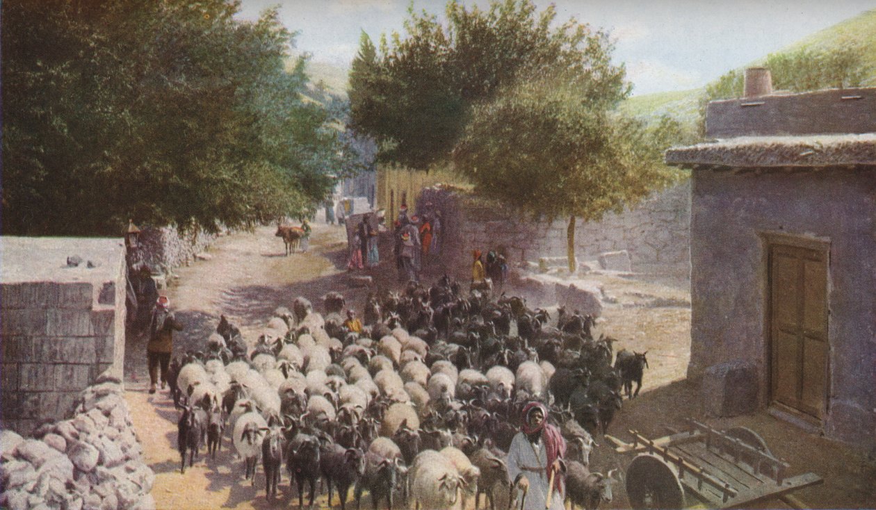 Palestine - Ewing Galloway