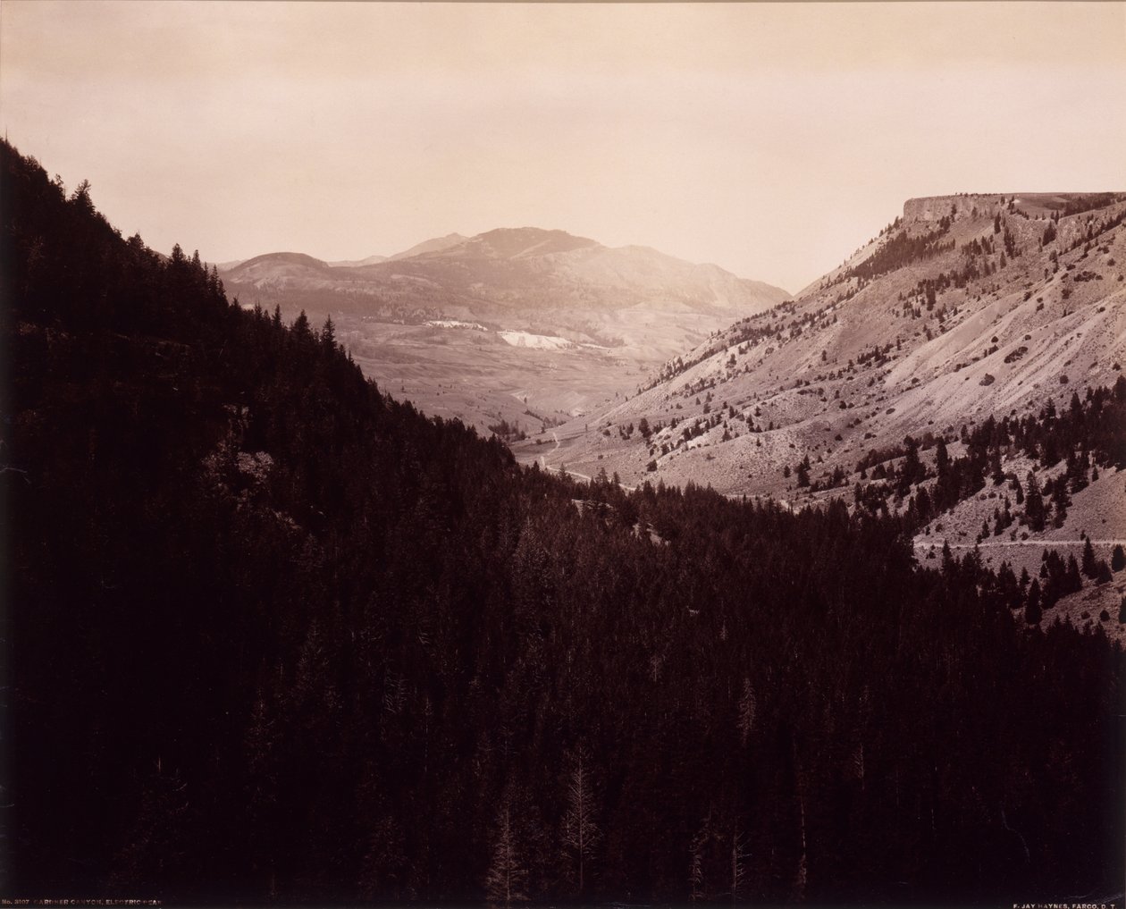 Canyon Gardner, Pic électrique - F. Jay Haynes