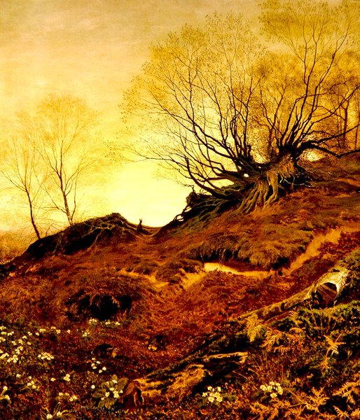 Sur Leith Hill, Surrey - Fanny Mearns
