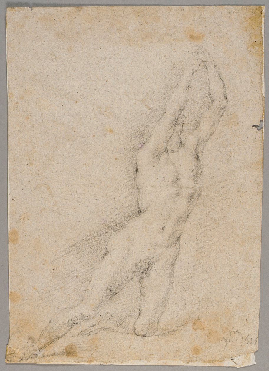 Dessin - Fedele Fischetti