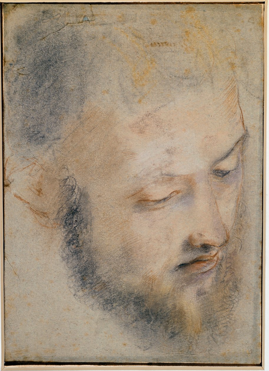 Étude de tête - Dessin de Barocci - Federico Barocci