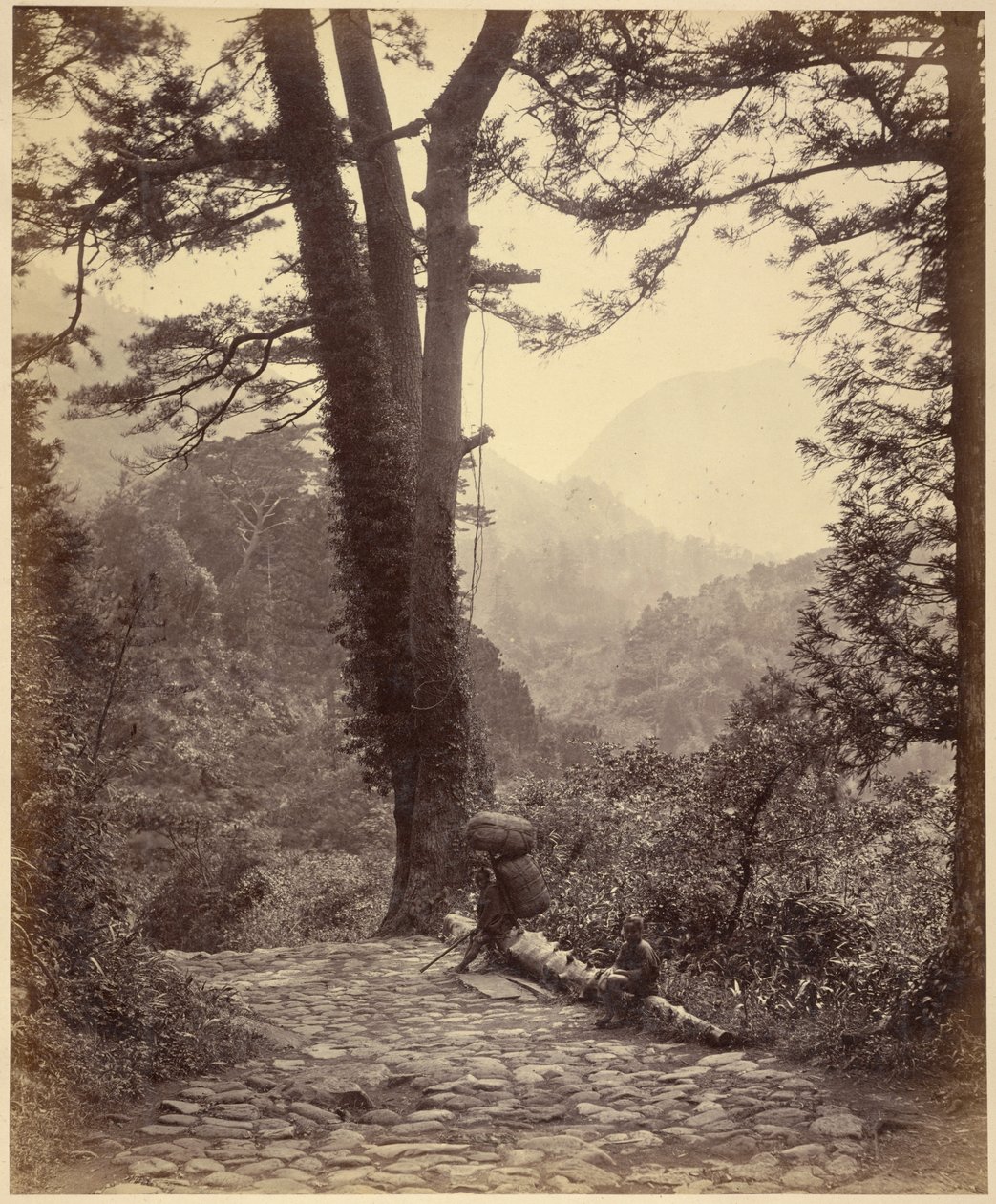 Vue du col de Hakone - Felice Beato