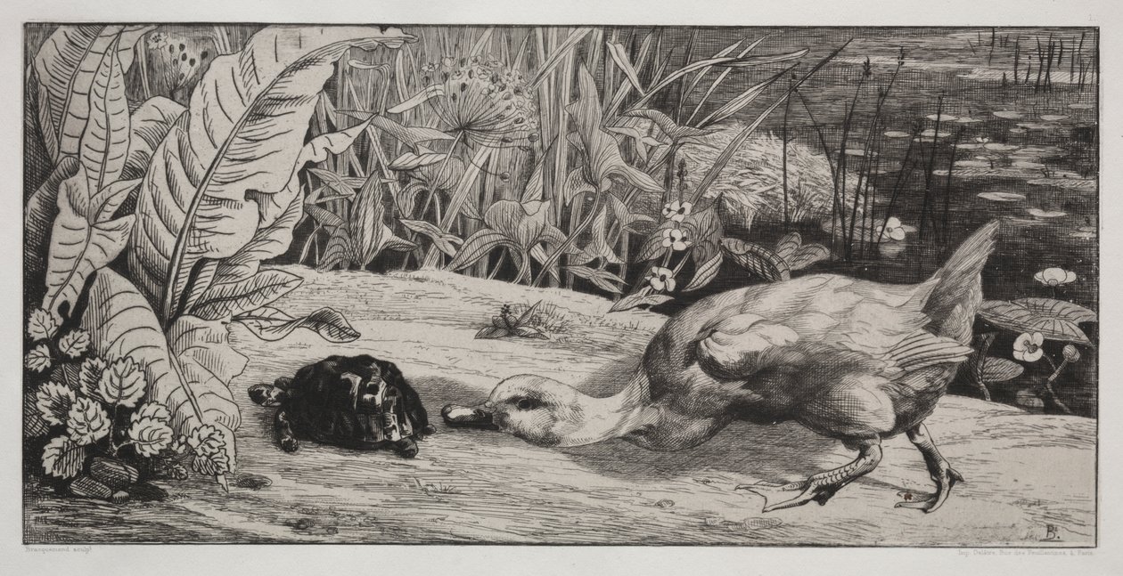 Un inconnu - Felix Bracquemond