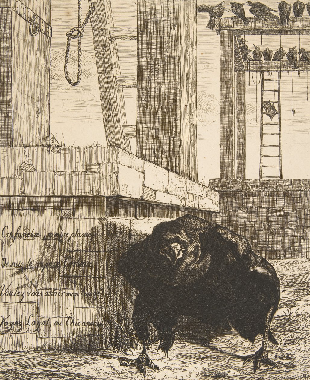 Le Corbeau, 1859 - Felix Bracquemond