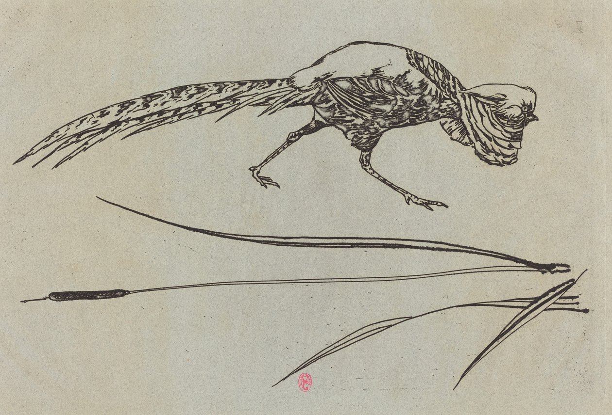 Faisan - Felix Bracquemond
