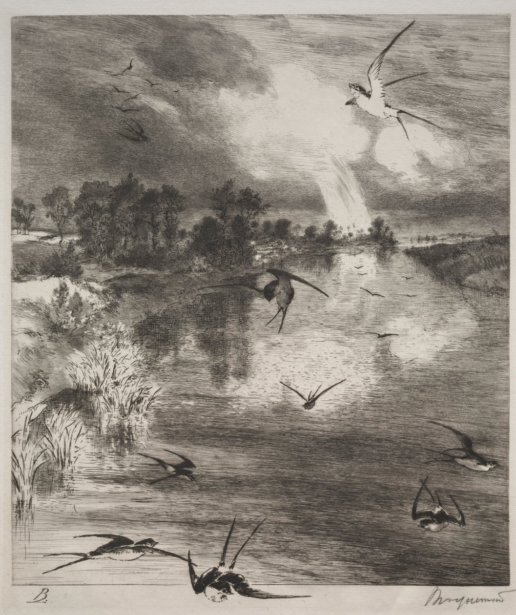 Hirondelles, 1882 - Felix Bracquemond