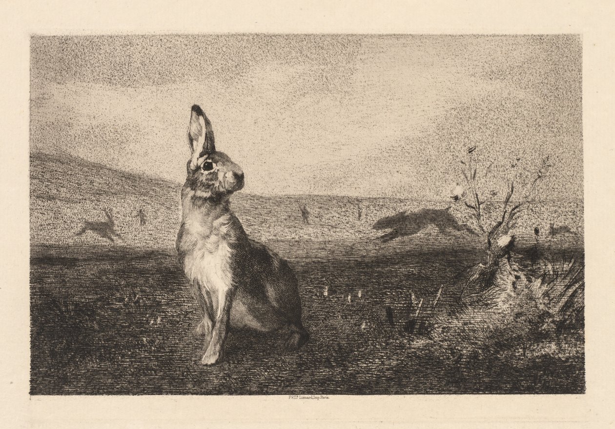 The Hare (Le Lièvre) - Felix Bracquemond