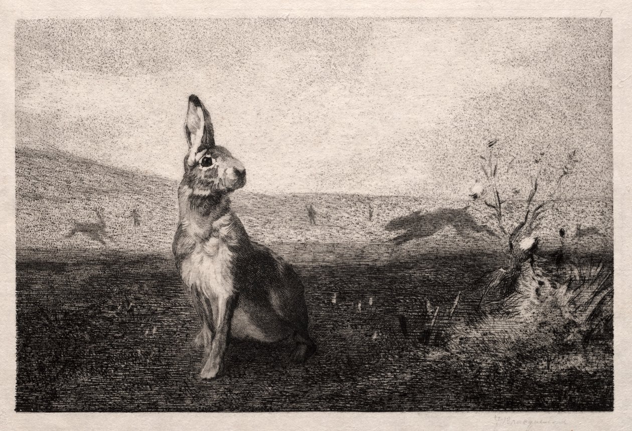 Le lièvre (d