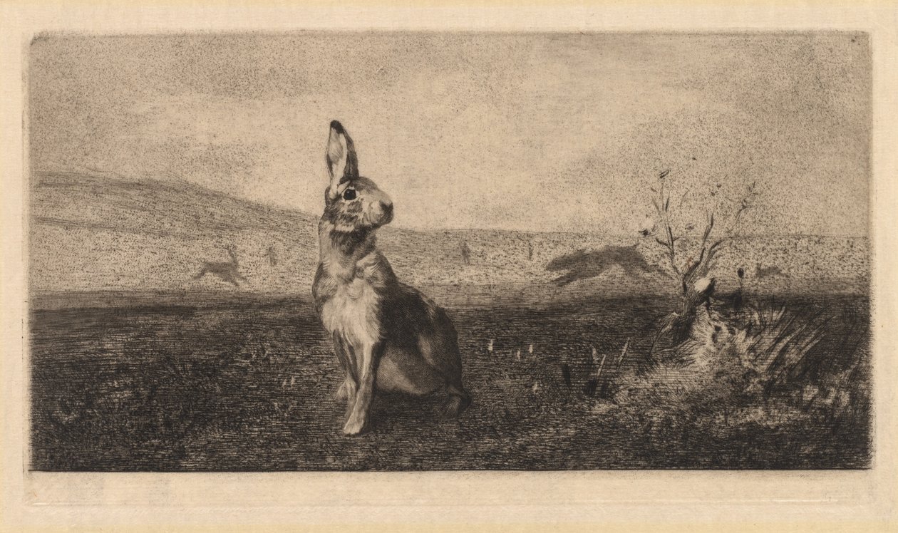Le Lièvre, 1865 - Felix Bracquemond