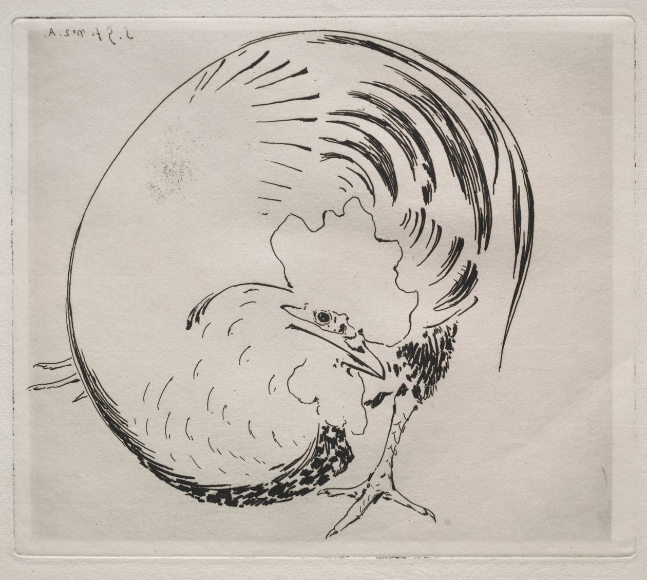 Le service à haute cuisson : Coq - Felix Bracquemond
