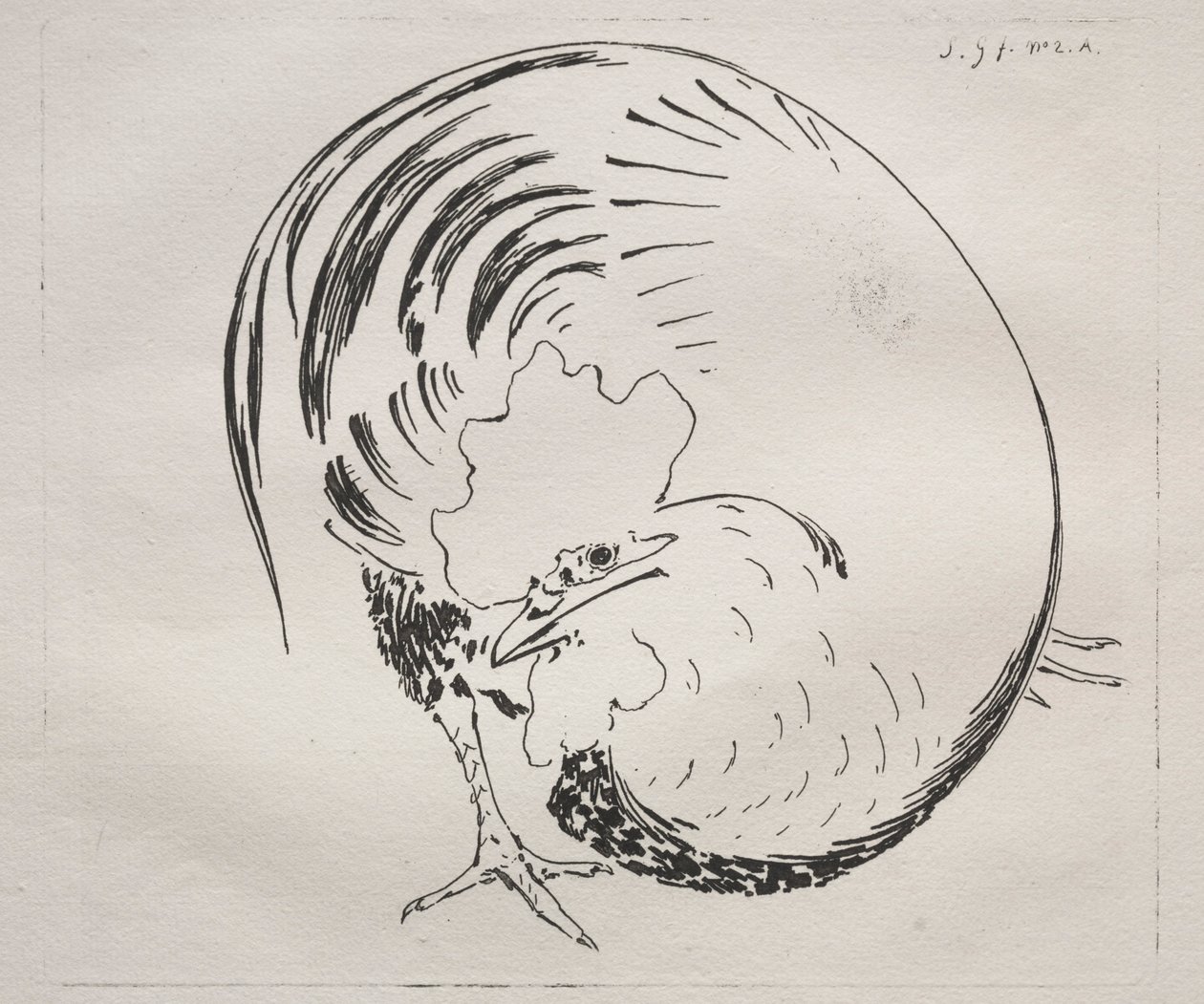 Le Service à haute cuisson : contre-épreuve de coq, vers 1860 - Felix Bracquemond