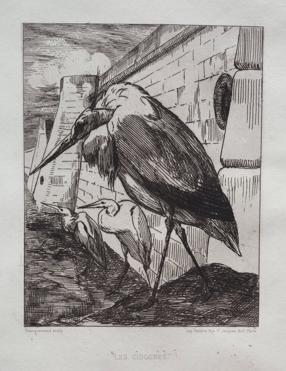Les cigognes, 1865 - Felix Bracquemond