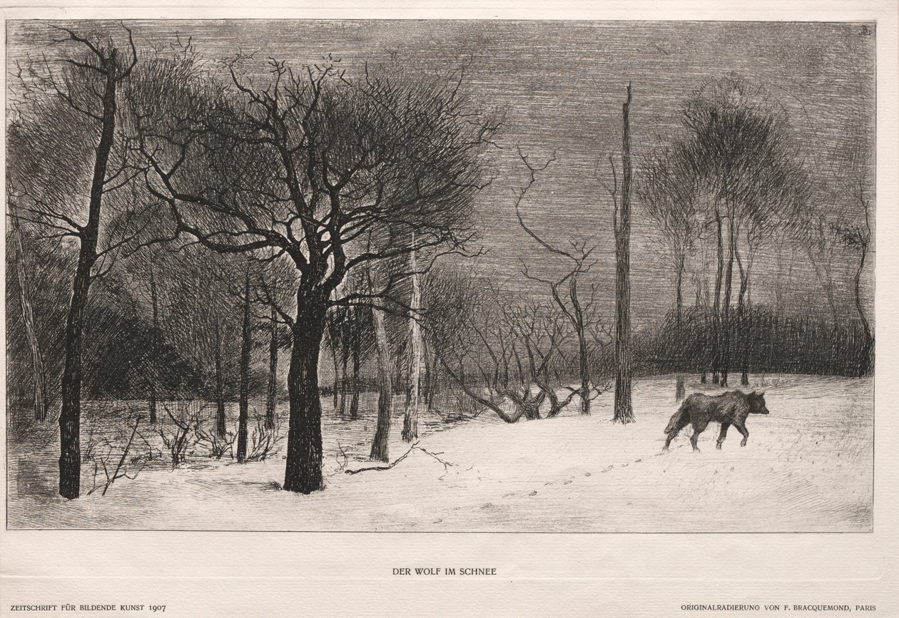 Hiver, 1862 - Felix Bracquemond