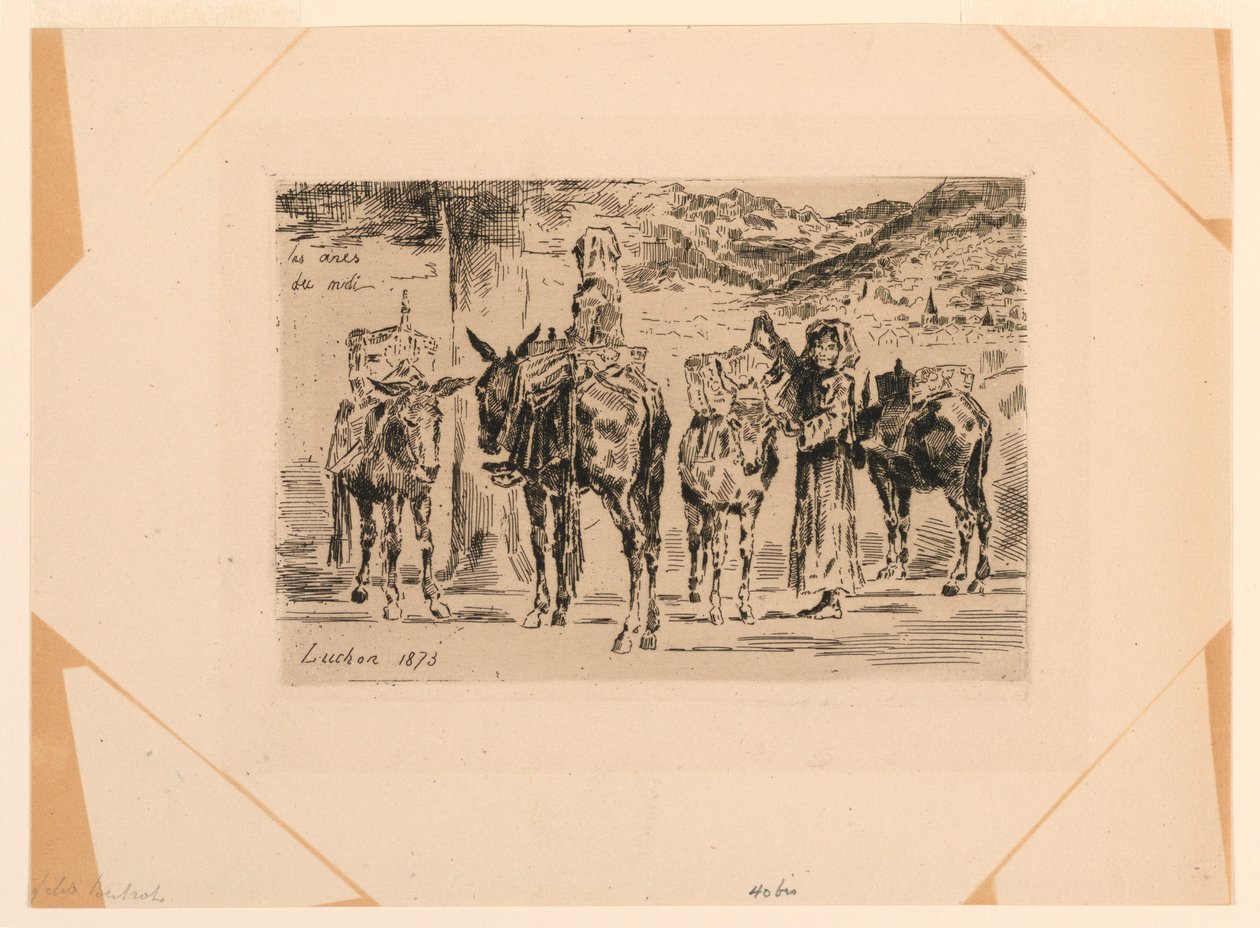 Les Ânes du Midi - Felix Hilaire Buhot