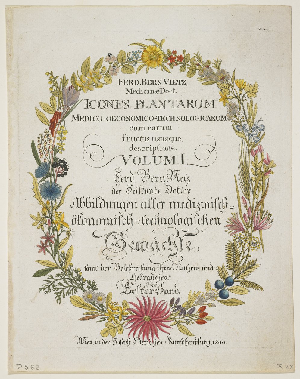 Frontispice et page de titre, Vol. I, de Icones Plantarum Medico-Oeconomico-Technologicarum cum Earum Fructus ususque Descriptione, 1800 - Ferdinand Bernhard Vietz