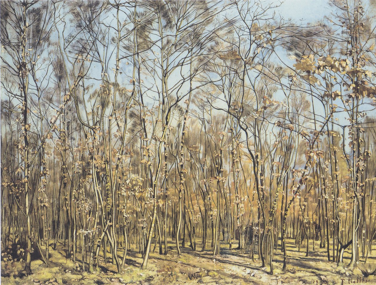 La forêt de hêtres - Ferdinand Hodler