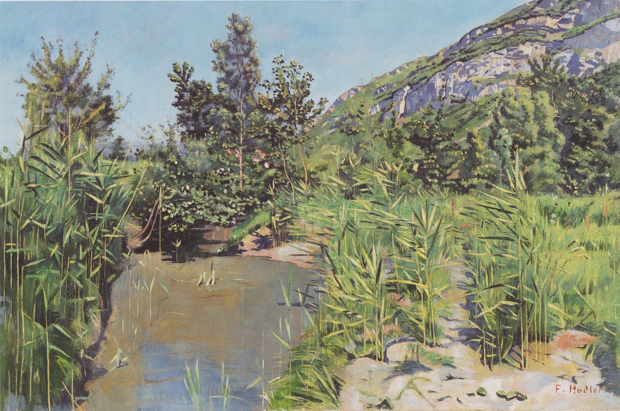 Paysage de l