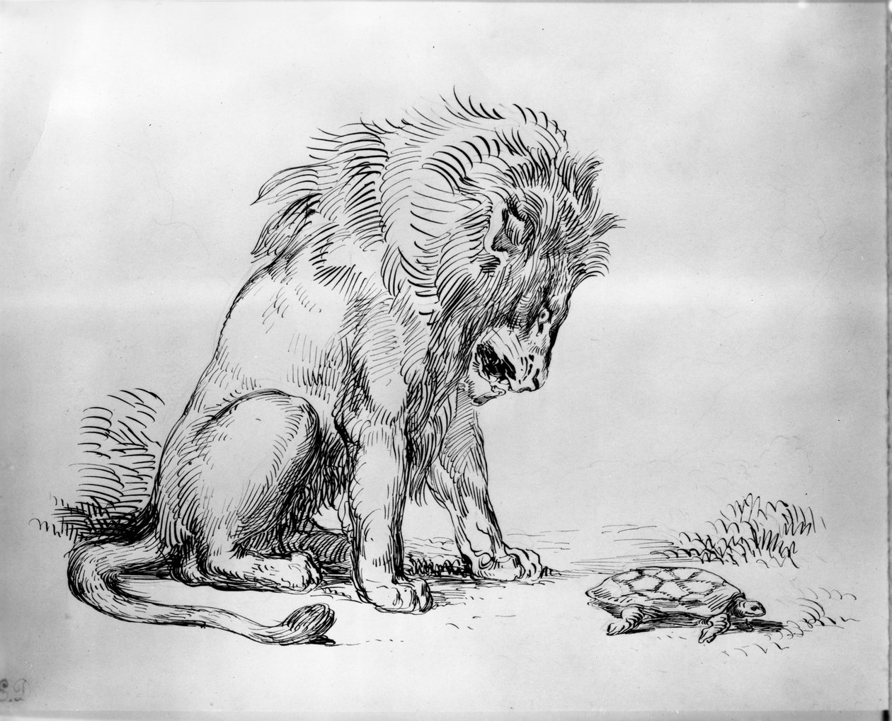 Lion et tortue - Ferdinand Victor Eugene Delacroix