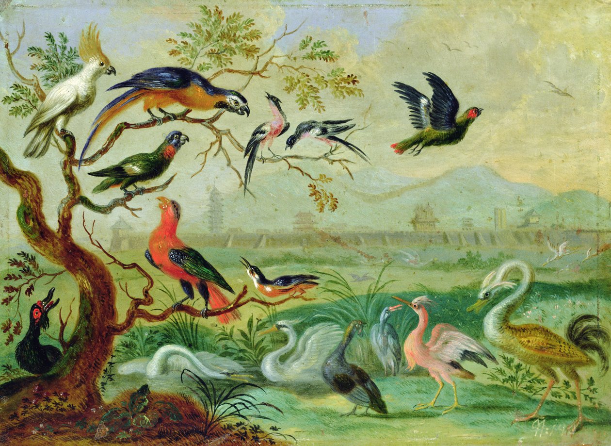Oiseaux des quatre continents dans un paysage avec vue de Pékin en arrière-plan - Ferdinand van Kessel