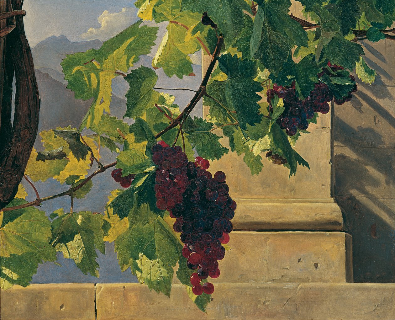 Grappe de raisins - Ferdinand Georg Waldmuller