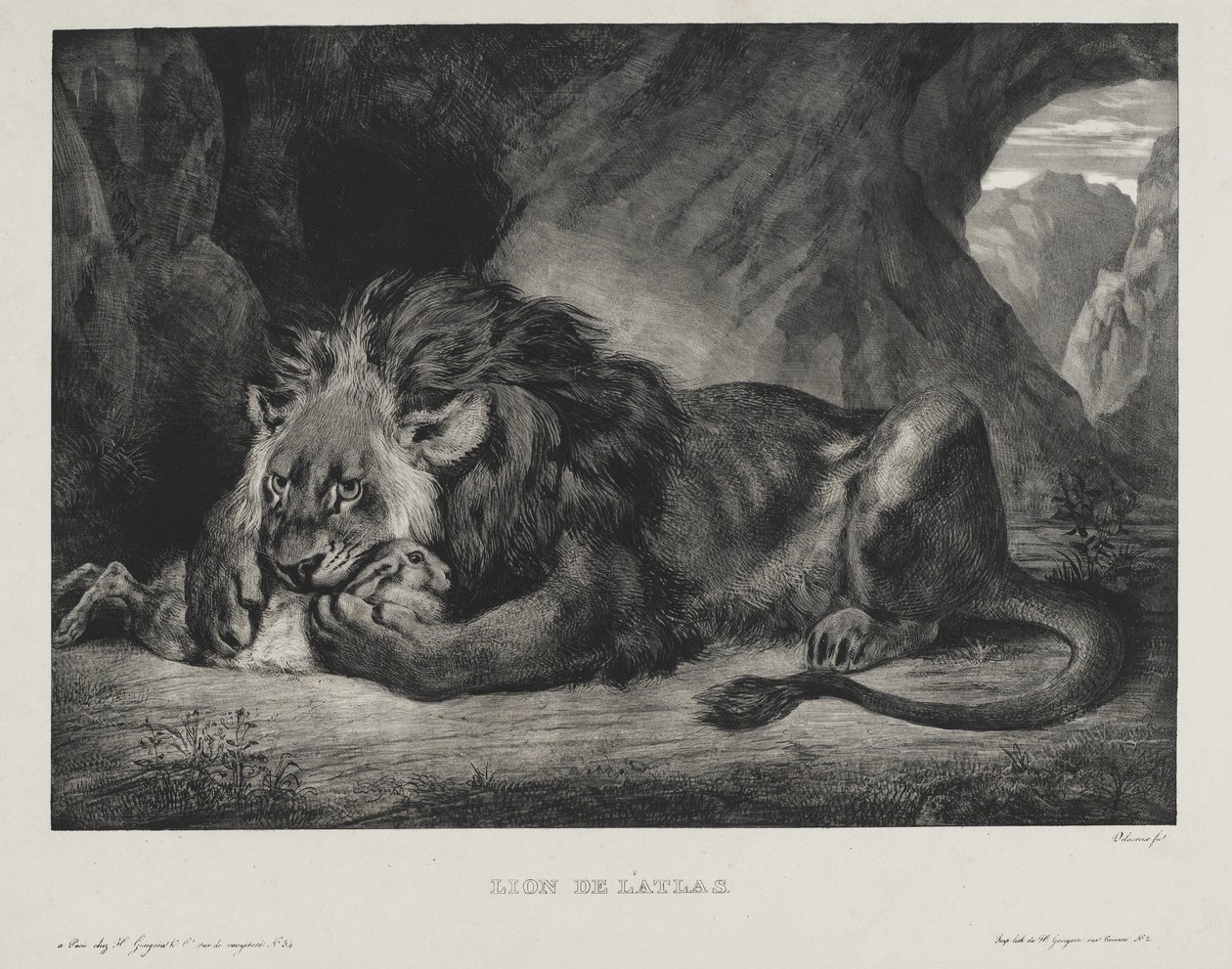 Lion de l