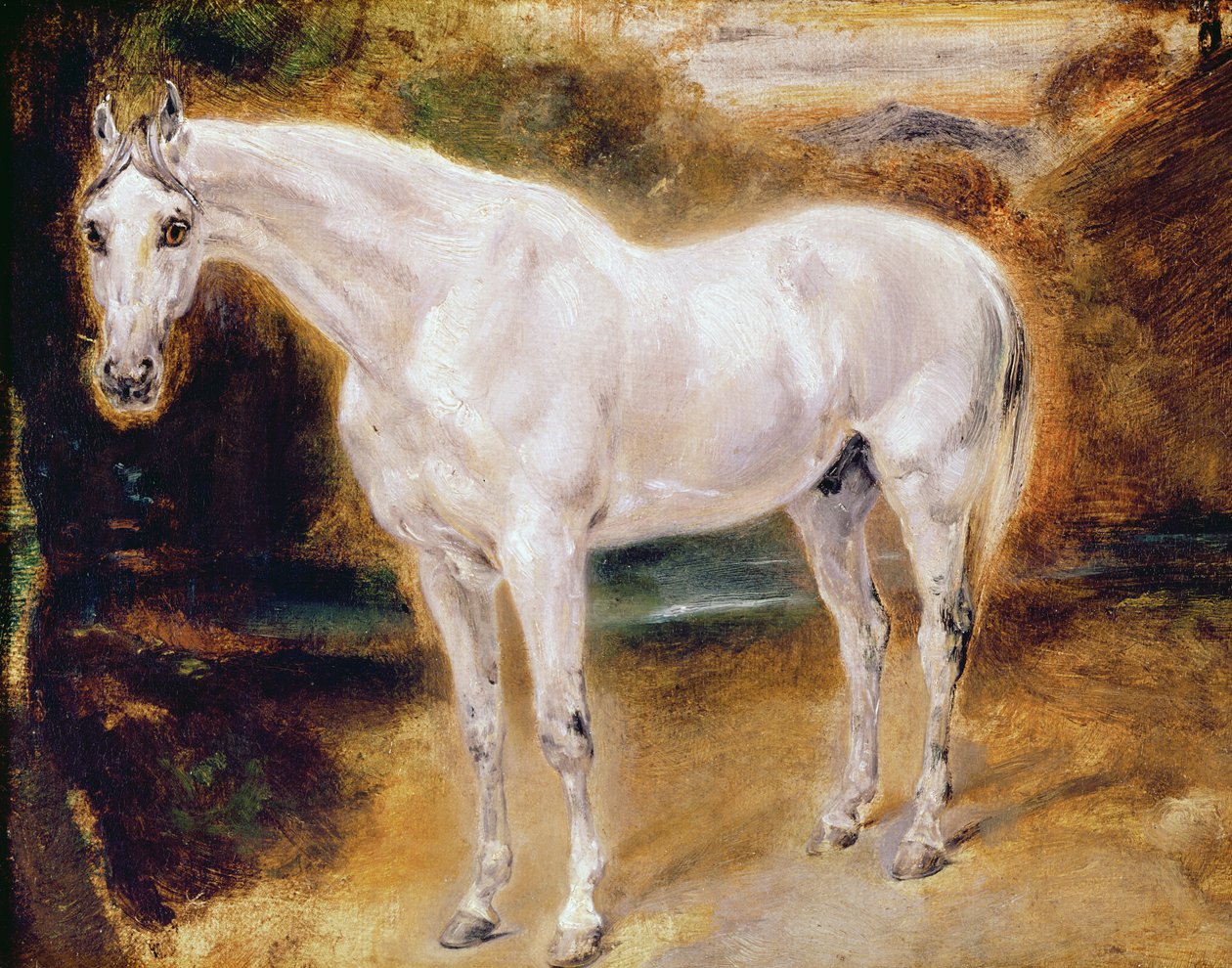 Cheval blanc - Ferdinand Victor Eugene Delacroix