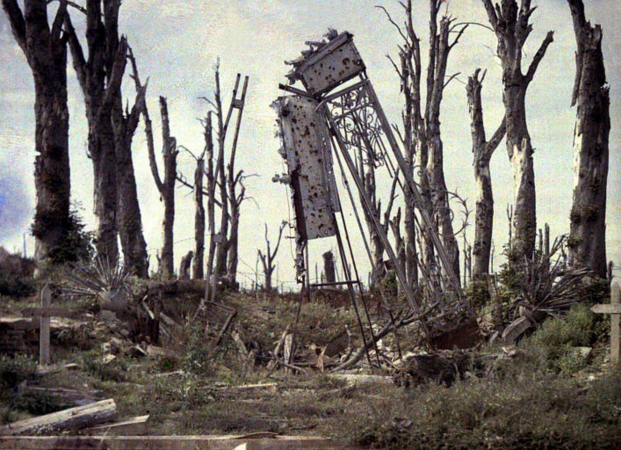 La porte du château et les arbres endommagés par le feu d