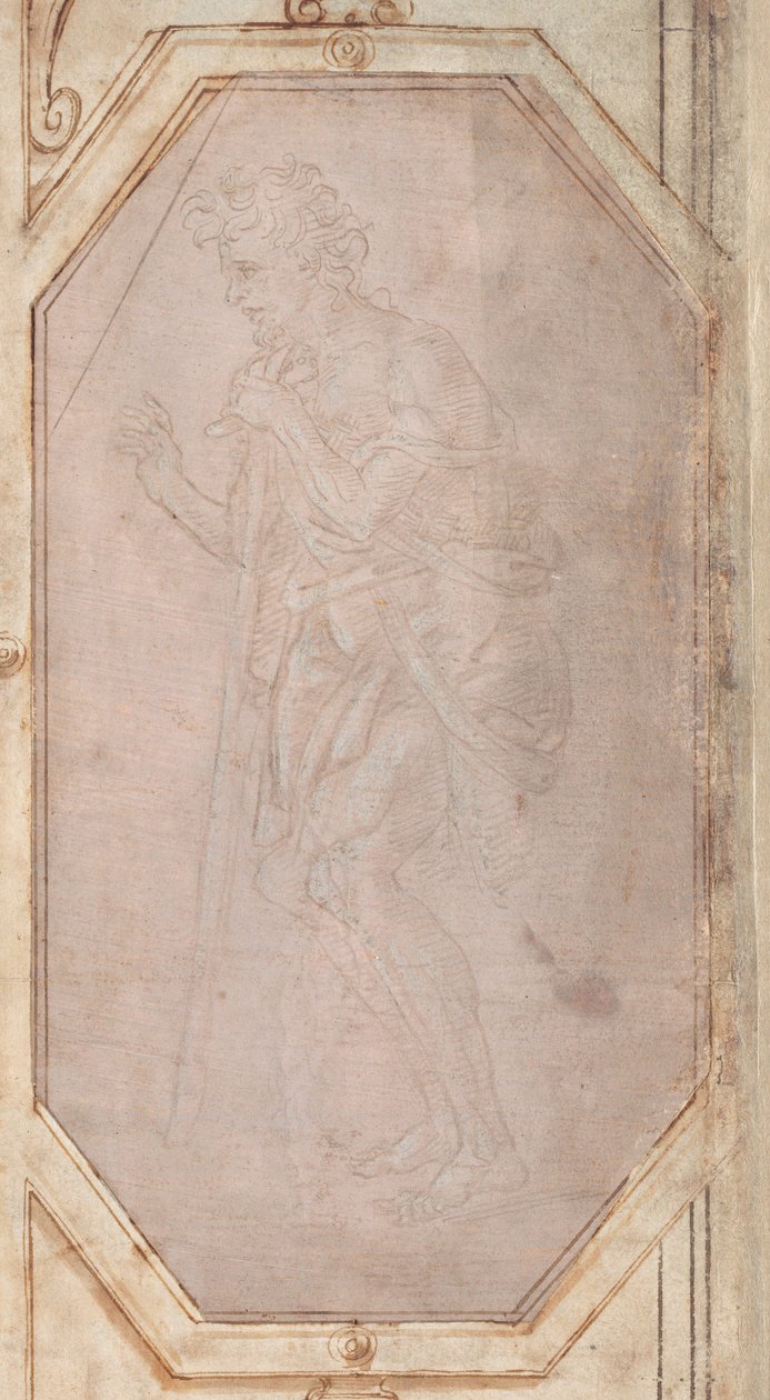 Homme avec un bâton - Filippino Lippi